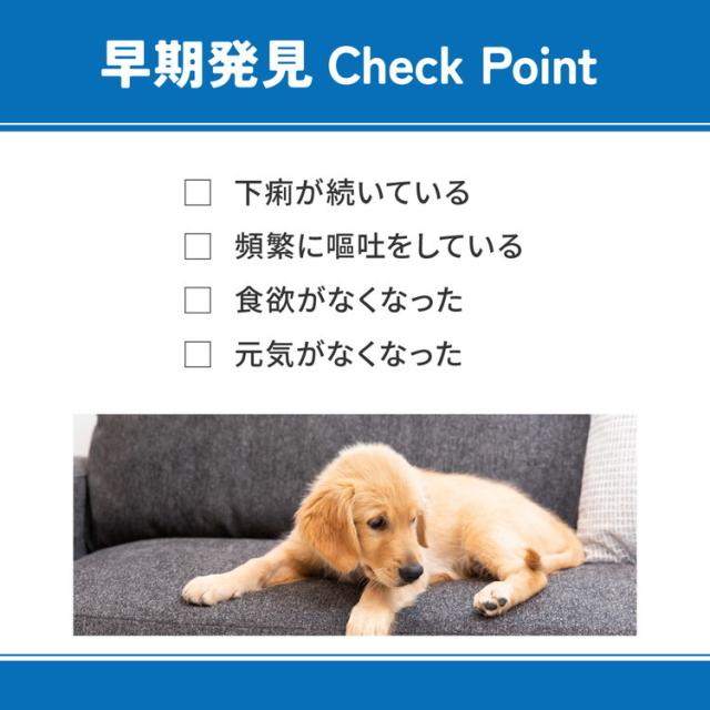【3個セット】 マルカン ベッツウェル 犬用食事療法食 消化器ケア 低脂肪 3kg【送料無料】_5