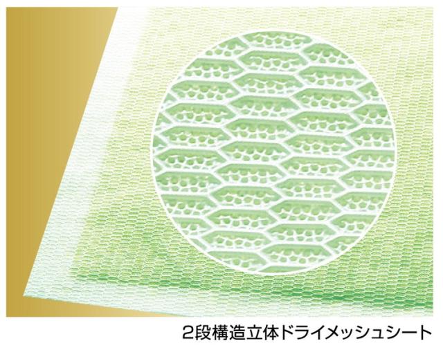 【6個セット】 ライオンペット 瞬乾ペットシート Salari (サラリ) ワイド24枚【送料無料】_2