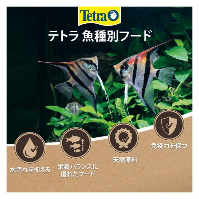 4個セット】 テトラ シクリッド ミニスティック 75g【送料無料】の通販