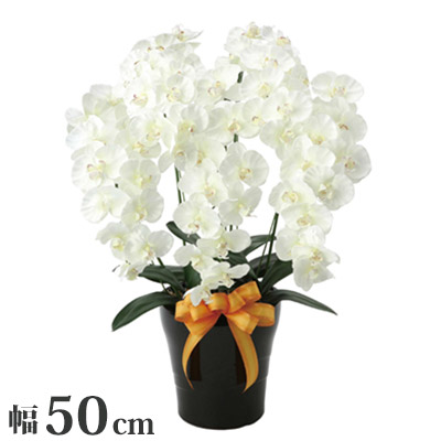 プレミアム胡蝶蘭5本立W 観葉植物 インテリア 光触媒 装飾 ギフト プレゼント 贈り物 人工観葉植物 651K200 株式会社アートクリエイション(代引不可)【送料無料】の通販は 15,980円