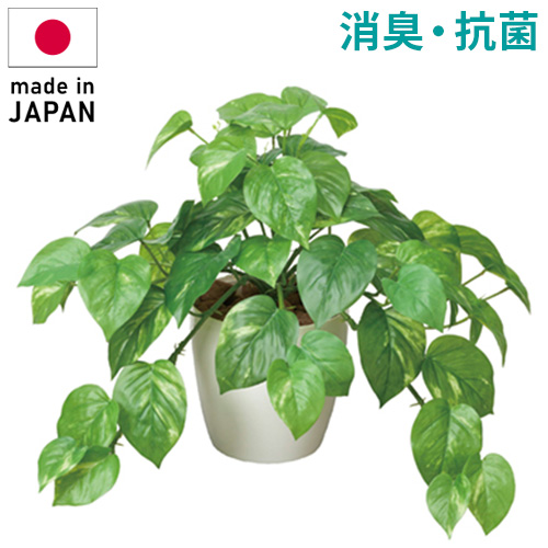 観葉植物 造花 リビング 消臭・抗菌 ギフト 代引き不可 個別送料 光触媒 ローズカップ アートフラワー 観葉植物 造花 リビング 消臭・抗菌 ギフト 代引き不可 個別送料