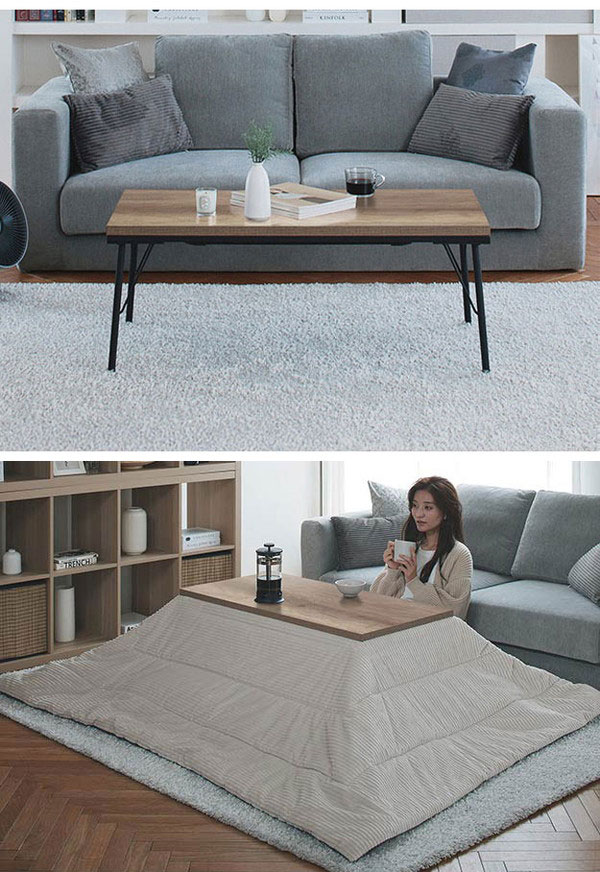 こたつ こたつテーブル 布団 セット こたつ布団 ロータイプ 100×50