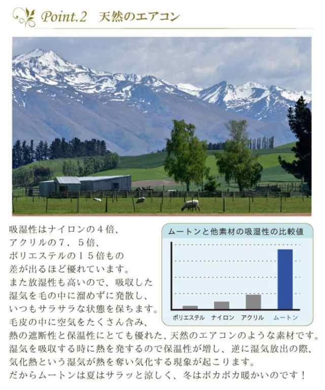 ムートンシート クッション 短毛タイプ 2枚セット 毛皮 ムートン