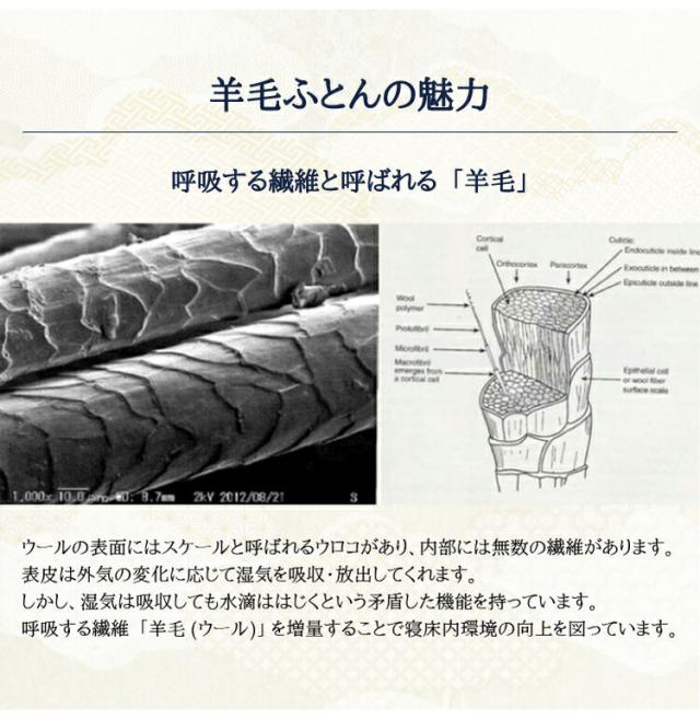 至福の眠り 丸八真綿 4層 羊毛 敷き布団 ダブル 日本製 マルハチ 布団 マットレス ベッド 敷き 国産 極厚 プロ用寝具 夏 除湿 羊毛敷布団 ホテル 旅館 厚い おすすめ 寝具 ふかふか(代引不可)【送料無料】_4