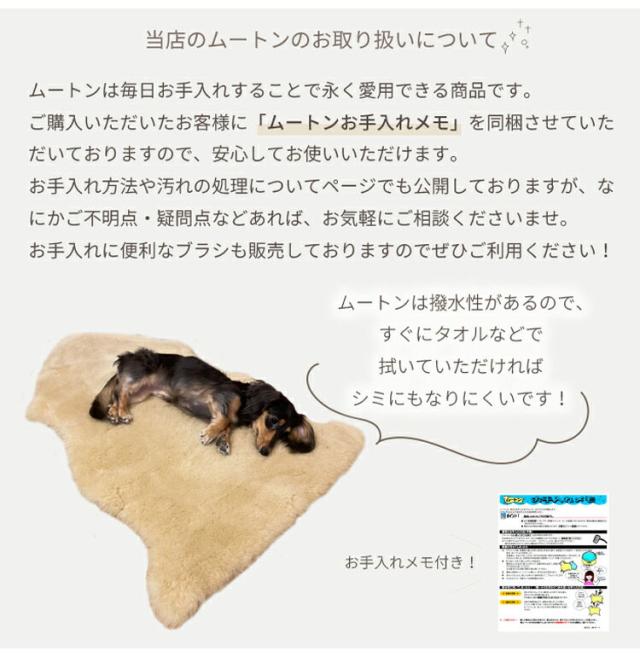 洗えるスプリングラム 4匹サイズ エアコン対策 ニュージーランド産高級天然ムートン ムートンラグ アウトドア キャンプ 敷物 クッション 長毛 ムートン ラグ 毛皮 マット ソファ ファー(代引不可)【送料無料】_11