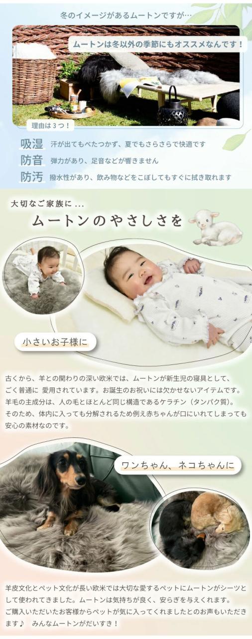 洗えるスプリングラム 4匹サイズ エアコン対策 ニュージーランド産高級天然ムートン ムートンラグ アウトドア キャンプ 敷物 クッション 長毛 ムートン ラグ 毛皮 マット ソファ ファー(代引不可)【送料無料】_12