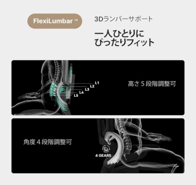 HINOMI H1 PRO V2-S Sサイズ エルゴノミクスチェア Ergonomics CHAIR オフィスチェア デスク オフィス 省スペース 折りたたみ 折りたたみ式フレーム 調整機能 アームレスト ヘッドレスト(代引不可)【送_6