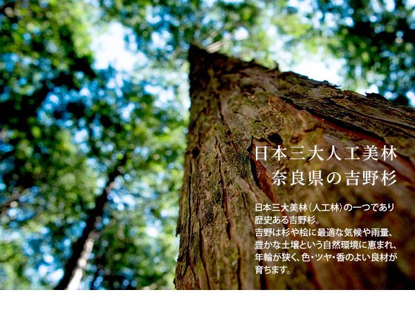 吉野杉使用 丸太スツール 日本製 天然木 スツール サイドテーブル ナイトテーブル コーヒーテーブル 丸太椅子 チェア(代引不可)【送料無料】_7