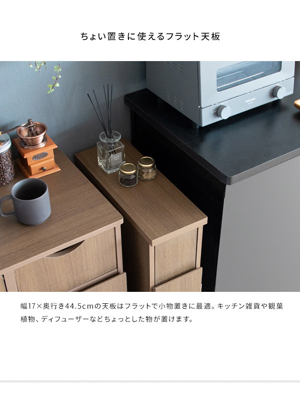ゴミ箱 スリムダストボックス 幅17cm Santia サンティア