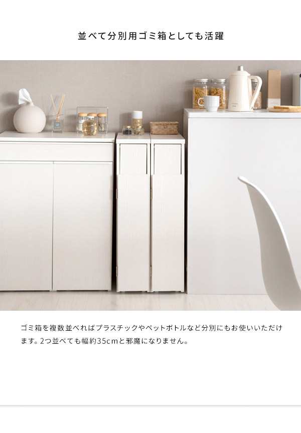 ゴミ箱 スリムダストボックス 幅17cm Santia サンティア