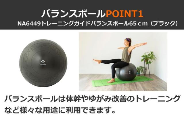 NAMALA トレーニングガイド付き バランスボール 65cm ヨガ ストレッチ 