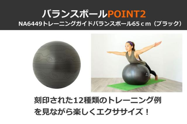 NAMALA トレーニングガイド付き バランスボール 65cm ヨガ ストレッチ