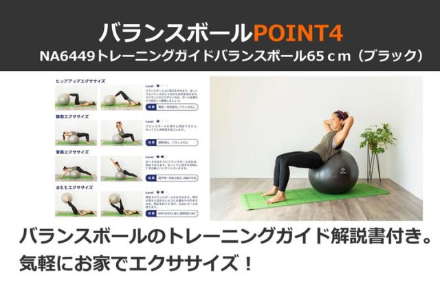 NAMALA トレーニングガイド付き バランスボール 65cm ヨガ ストレッチ