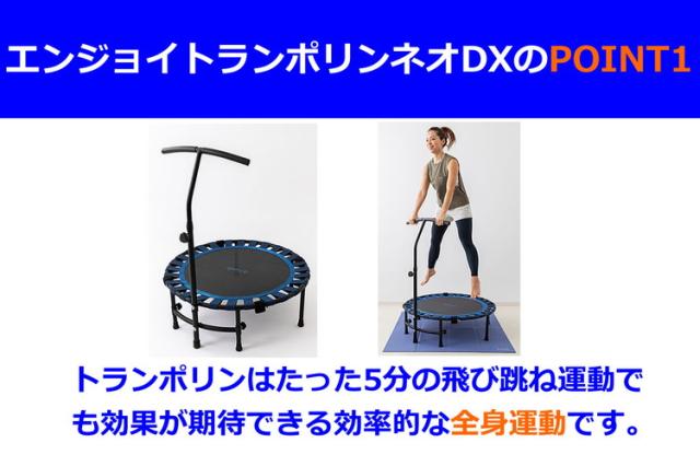 NAMALA エンジョイ トランポリンネオDX ヨガ ストレッチ エクササイズ 体操 運動 スポーツ ヨーガ ピラティス 初心者 瞑想 ビギナー おしゃれ 体操 ウェア トレーニング ナマラ トランポリン(代引不可)【送料無料】_1