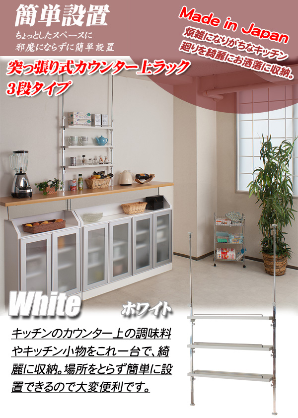 東谷 ソーレ ドアミラー 全身 姿見 収納付き 扉付き 鏡 シンプル