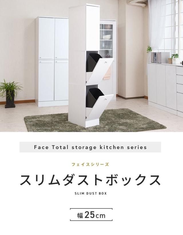 Face ダストボックス 28L 幅25cm スリム 2分割 分別 フラップ式 可動棚 