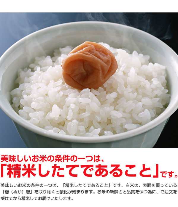 日本米　ブレンド米　新潟県産　米　コシヒカリ　令和4年度産　15kg-