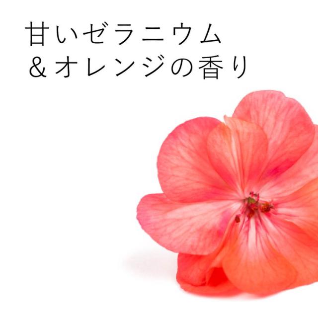 ecostore ランドリーリキッド ゼラニウム&オレンジ 500mL エコストア 洗剤 液体洗剤 肌にやさしい 天然 植物由来 敏感肌 低刺激 その他洗濯用洗剤