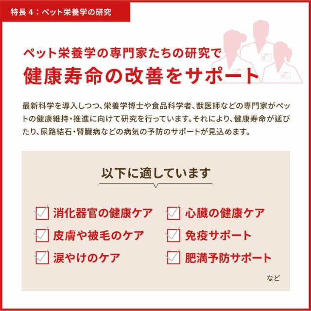 オリジン パピー 6kg ORIJEN 犬用 ドッグ 主食 フード【送料無料】