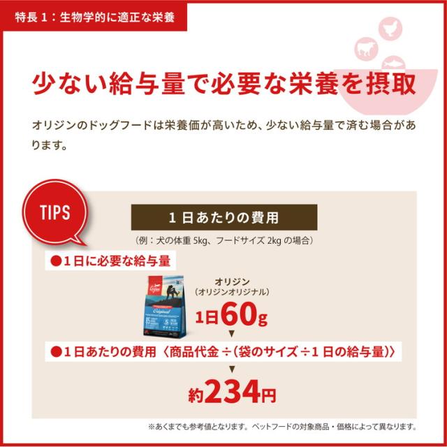 オリジン レジオナルレッド キャット 1.8kg ORIJEN 猫用 キャット 主食 フード【送料無料】_11