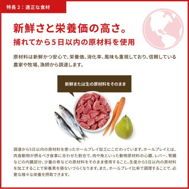 オリジン レジオナルレッド キャット 1.8kg ORIJEN 猫用 キャット 主食 フード【送料無料】_12