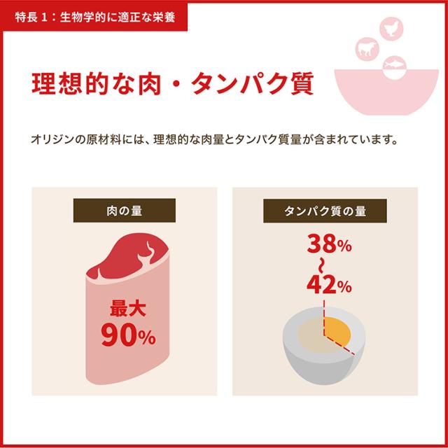 オリジン レジオナルレッド キャット 1.8kg ORIJEN 猫用 キャット 主食 フード【送料無料】_9