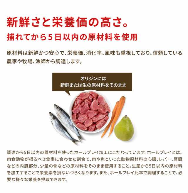 【3個セット】 オリジン パピー 2kg x3 6kg ドライフード ドッグフード 犬用 フード ORIJIN【送料無料】