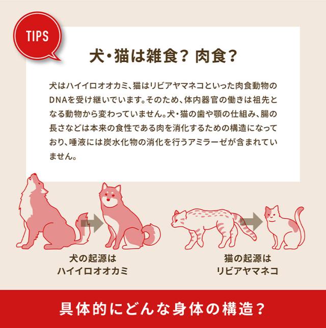 【2個セット】 オリジン レジオナルレッド キャット 1.8kg x2 3.6kg ドライフード キャットフード 猫用 フード ORIJIN【送料無料】_3
