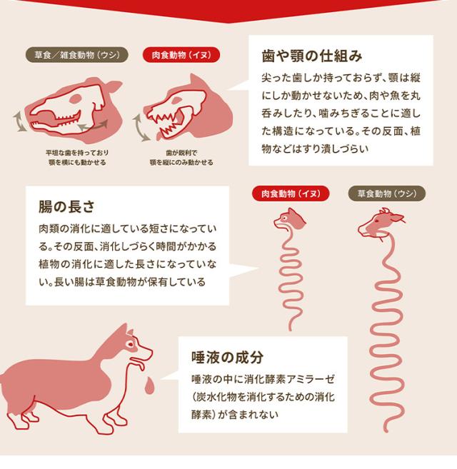 【2個セット】 アカナ シニアレシピ 11.4kg x2 22.8kg ドライフード ドッグフード 犬用 フード ACANA【送料無料】