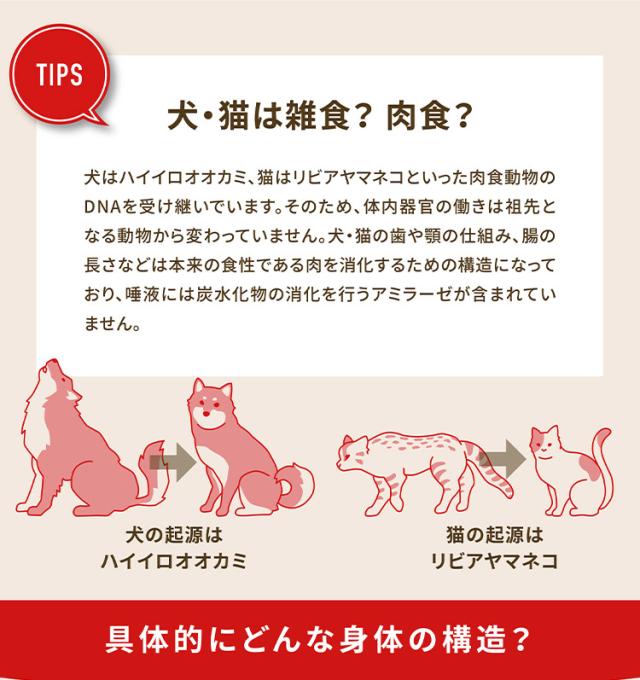 【2個セット】 アカナ スポーツ&アジリティレシピ 11.4kg x2 22.8kg ドライフード ドッグフード 犬用 フード ACANA【送料無料】