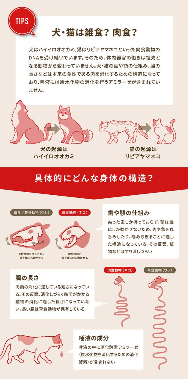 【2個セット】 アカナ ワイルドプレイリーキャット 1.8kg x2 3.6kg ACANA 猫用 ねこ用 フード キャットフード ペットフード【送料無料】_3