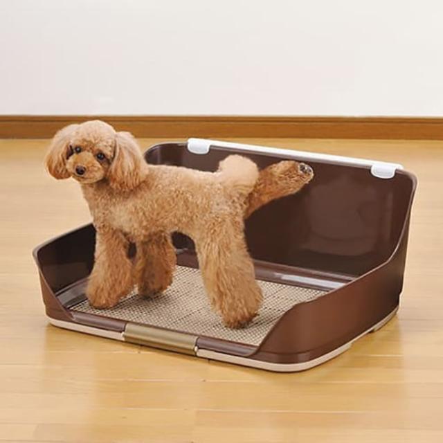 ボンビアルコン しつけるウォールトレー M ブラウン【送料無料】