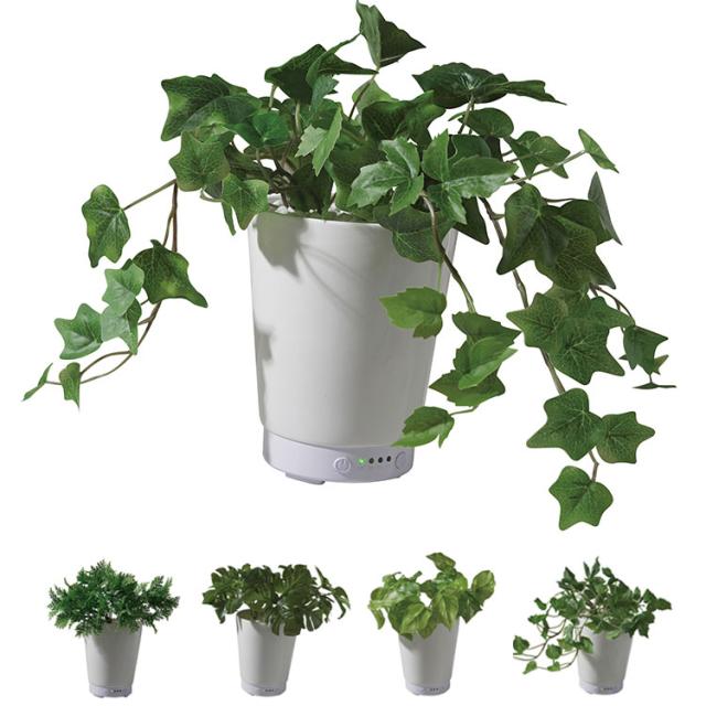 グリーンアロマミスト 超音波式加湿器 GREEN AROMA MIST KSHU-01 人工