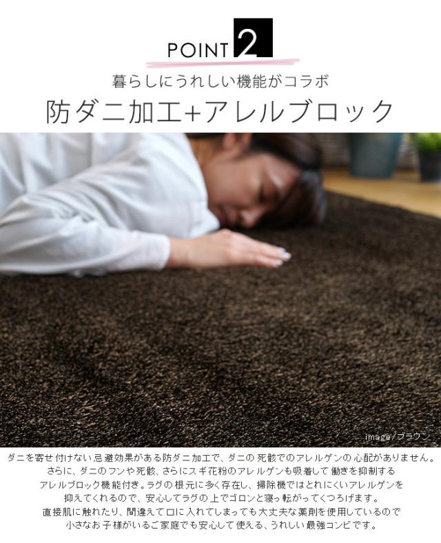 【日本製】 ラグマット NEOGLASS 261x352cm 長方形 ラグ マット カーペット 無地 シンプル 防音 防ダニ 床暖 ホットカーペット(代引不可)_2