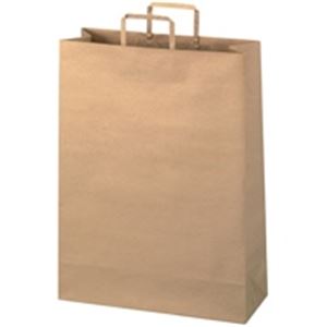 ジョインテックス 手提袋 平紐 茶 特大 300枚 B294JB6（代引不可）の通販は 16,834円