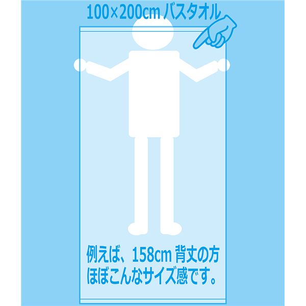 業務用レピア織超大判バスタオル 2000匁 100×200cm レピアダークブルー【12枚セット】（代引不可）_3