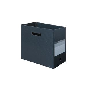 （まとめ買い）足し加える ボックスファイルワイド FL-024BF A4 CHG 【×10仕かける】（代引不可）