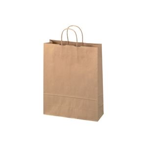 （まとめ買い）ジョインテックス 手提袋 丸紐 茶 大 50枚 B289J-B 【×4セット】（代引不可）