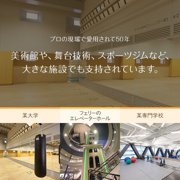プロ仕様！割れない鏡 【REFEX】リフェクス 姿見 壁掛け対応スタンドミラー W80cm×150cm シャンパンゴールド色 NRM-6／SG 【日本製】（代引不可）_4