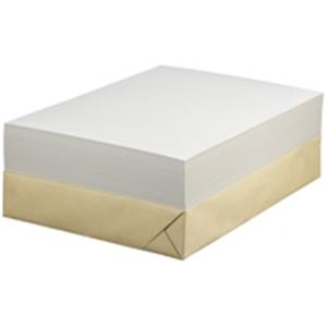 （まとめ買い）セキレイ 白ボール紙 CA3 A3 100枚 【×2セット】（代引不可）