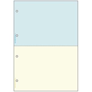ヒサゴ プリンター帳票 BP2011WZ A4 2色／2面2400枚（代引不可）の通販は 15,831円