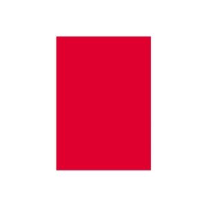 （まとめ買い）大王製紙 再生色画用紙4ツ切 100枚 きんぎょ（あか） 【×2セット】（代引不可）の通販は 5,285円