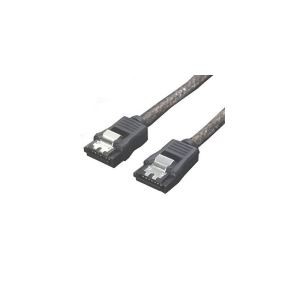 （まとめ）変換名人 SATA6Gbケーブル I-Iロック付 30 SATA6-IICA30【×10セット】（代引不可）