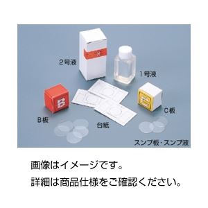 （まとめ）スンプ台紙 （100枚）【×5セット】（代引不可）