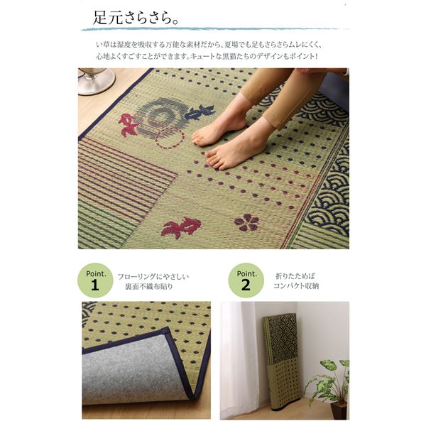 社会科理論の批判と創造 谷川彰英 社会科理論の批判と創造 谷川彰英