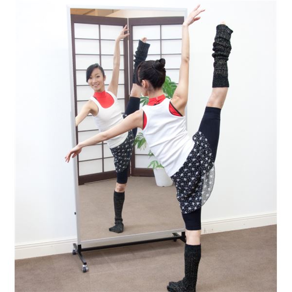 プロ仕様！割れない鏡 【REFEX】リフェクス 姿見 大型 キャスター付き W90cm×180cm×2.7cm シルバー色 RM-8【日本製】【送料無料】（代引不可）_1