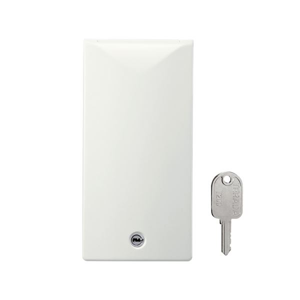 (まとめ)サンワサプライ 鍵付きセキュリティスリムコンセントカバー TAP-KJCV1【×2セット】（代引不可）の通販は