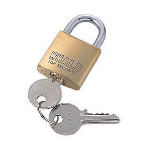 （まとめ）サンワサプライ eセキュリティ（マスターキー対応南京錠・大） SLE-1LM【×5セット】（代引不可）