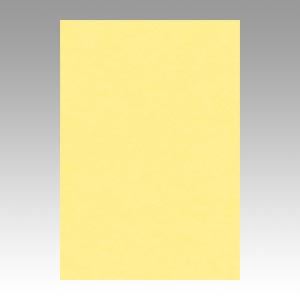 （業務用セット） 文運堂 ニューカラーR 八ツ切 横271×縦392mm 8NCR-101 クリーム 100枚入 【×2セット】（代引不可）