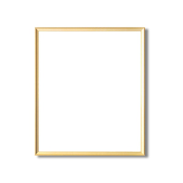 【額縁・絵画額・水彩額】壁掛けひも付 ■5003デッサン額(ゴールド) 三三サイズ(606×455mm)（代引不可）